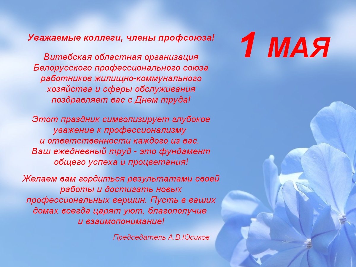 IMG 9b82b7885f862ee046d6d65f5102a078 V