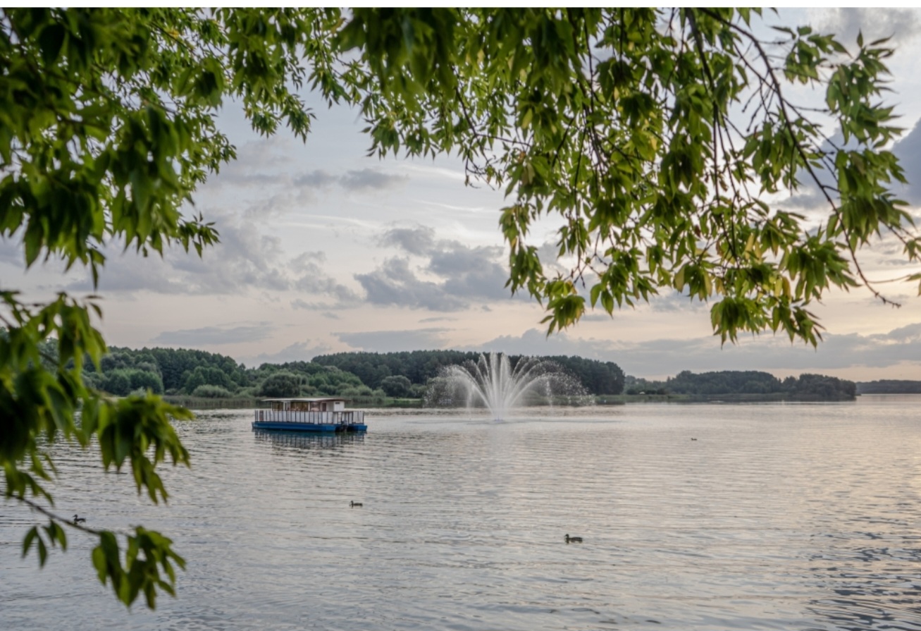 Screenshot 20251210 002744 Telegram