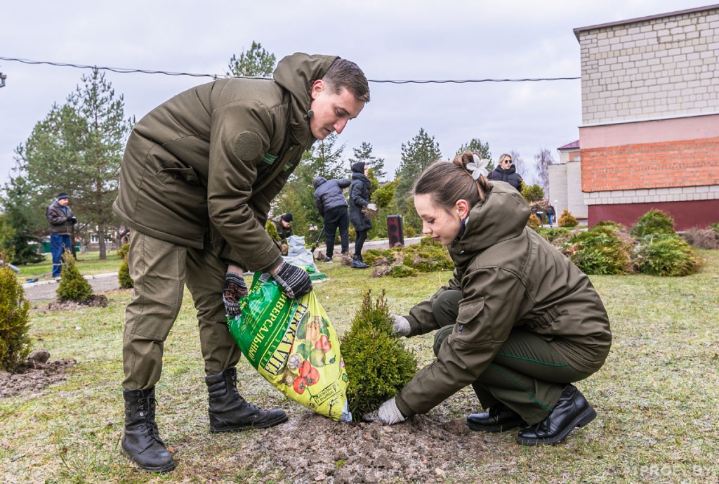 kartul 4968 1024x689