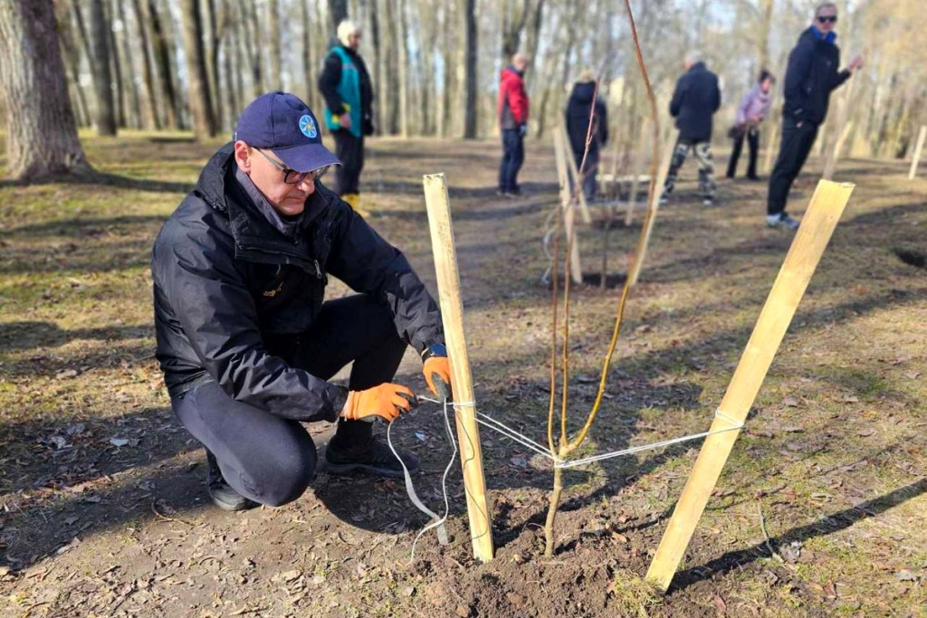 les vitebsk 1024x683