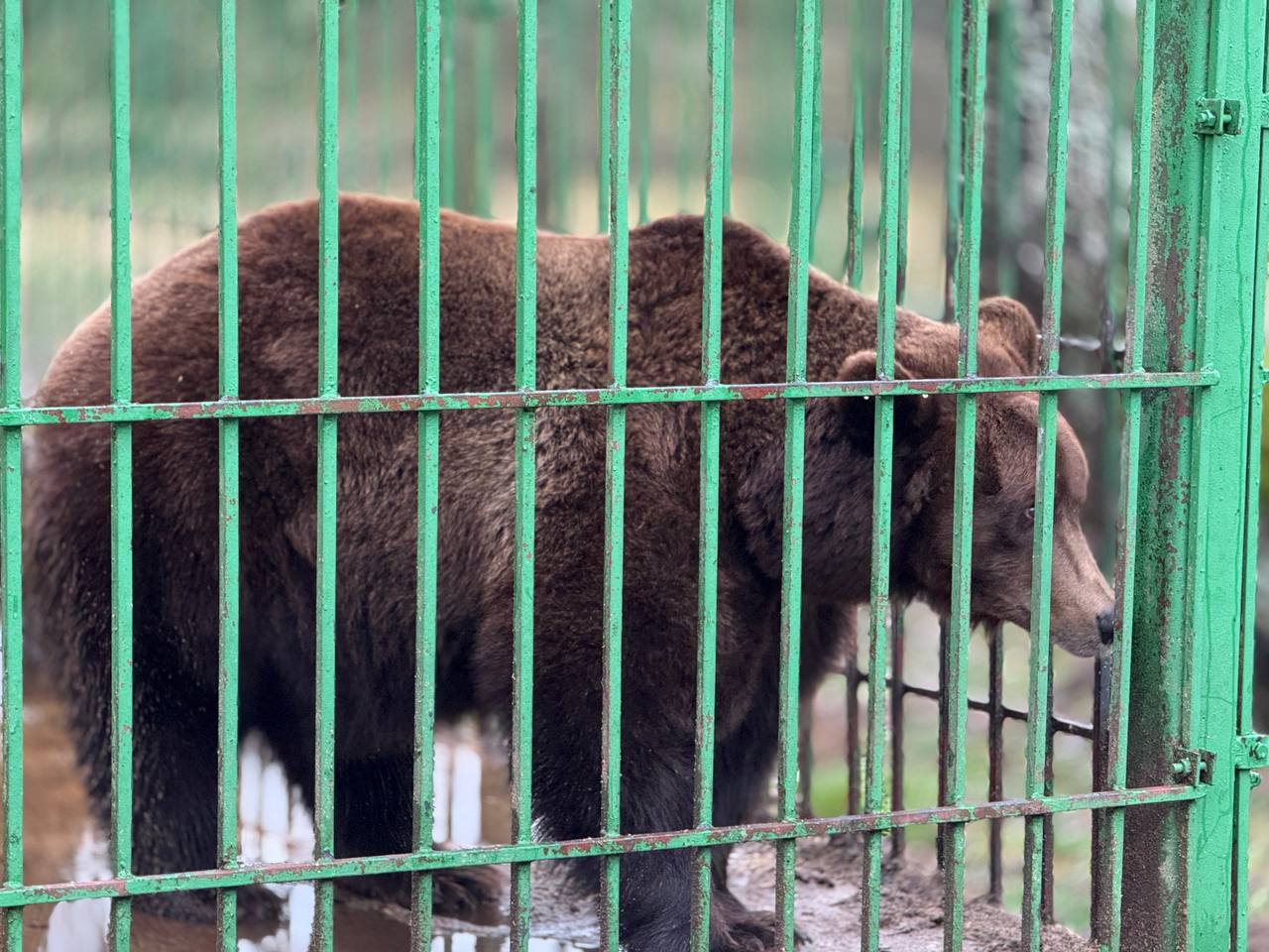 photo 2025 12 05 12 55 10