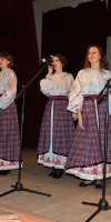 VI областной смотр коллективов худсамодеятельности 2012