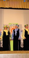 VII областной смотр коллективов худсамодеятельности 2013