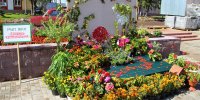 Областной смотр-конкурс профмастерства Городок август 2014