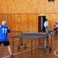 Областной турнир по настольному теннису июль 2016