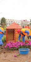 Областной конкурс профмастерства Дубровно август 2017